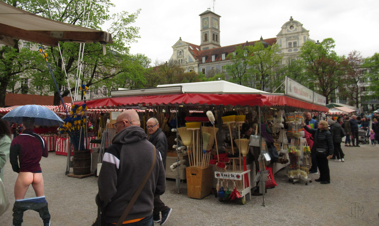 spyder watching a fly